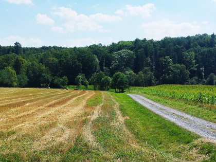 Działka Zamarski