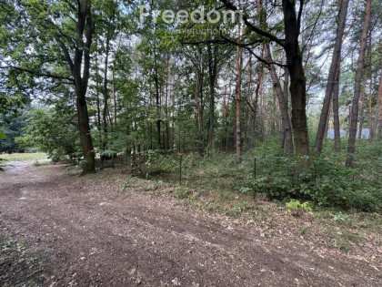 PIĘKNA DZIAŁKA BUDOWLANA W OTULINIE LASU