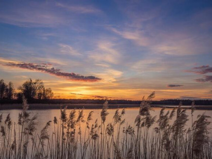 działka nad Jeziorem Górskim 10min od Płocka - Nowe Rumunki