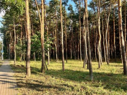 Działka budowlana Sulejówek