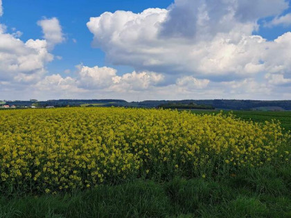 Działka budowlana Przybysławice gm. Skała