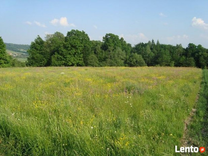 Sprzedam dziłkę Nozdrzec 58 arów