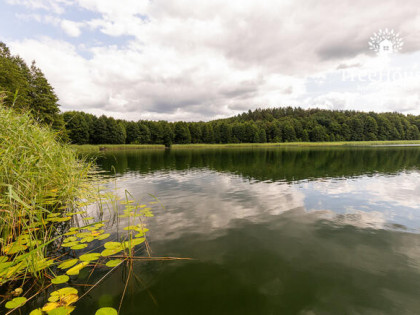 Działka budowlana z linią brzegową jeziora