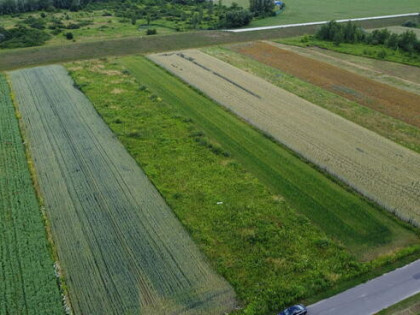 Działka Sandomierz ul Zarzekowice 38 ar - 4,5 km od Starówki