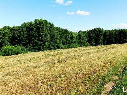 Stary Folwark, Atrakcyjna działka pod zabudowę 9.7461 ha