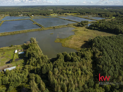 Działka rolna Trzciel-Odbudowa gm. Miedzichowo,