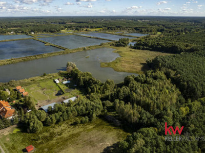 Działka rolna Trzciel-Odbudowa gm. Miedzichowo,