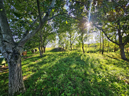 Działka rolna - 30ar - Smugi gm. Jastków