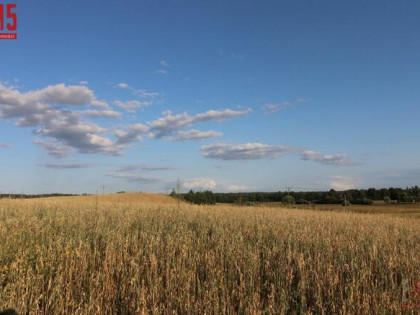 Działka budowlana Okuniowiec