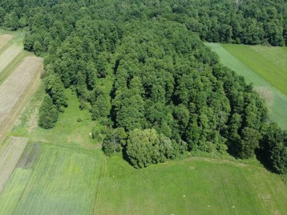 Las, działka leśna 0,6ha, Ustrzesz