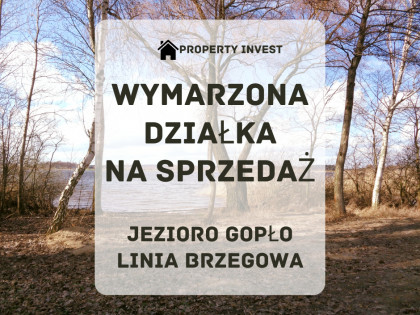 Jezioro Gopło – Działka z linią brzegową