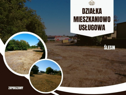 Ślesin – Działka mieszkaniowo/usługowa