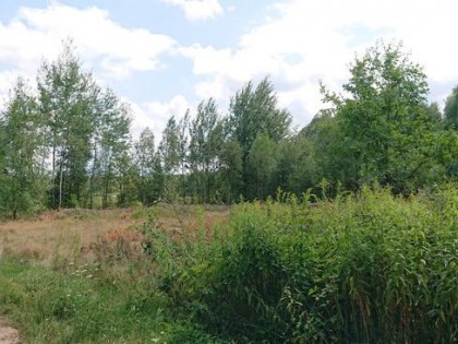 siedlisko choiny 2,7 ha