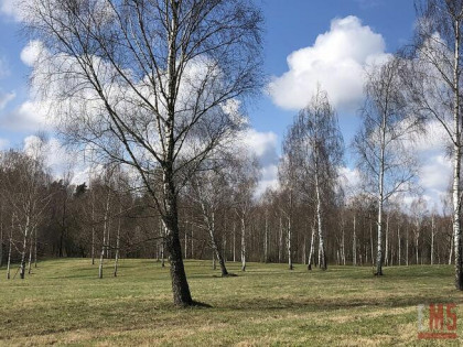 Działka budowlana Harsz gm. Pozezdrze