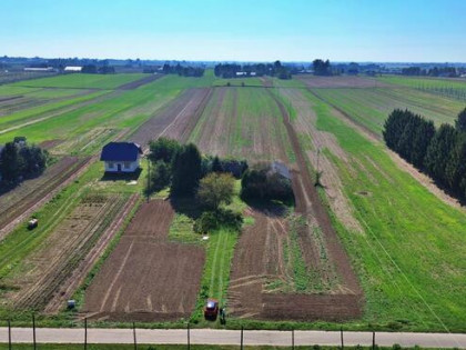 Działka rolno-budowlana Panieńszczyzna gm. Jastków