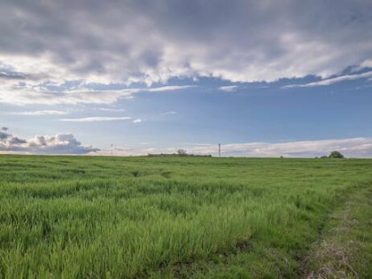 Działka budowlana Dobrzyniewo Kościelne gm. Dobrzyniewo Duże,