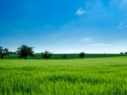 Działka budowlana Dobrzyniewo Kościelne gm. Dobrzyniewo Duże,