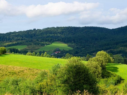 Działka Budowlana w Krynicy-Zdrój Cena 275 000 zł