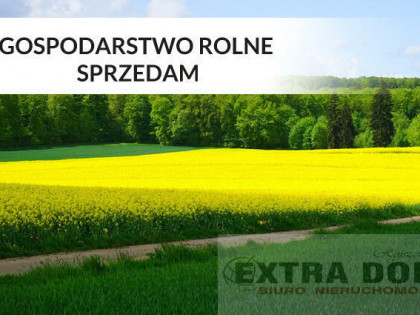 Grunty rolne na sprzedaż