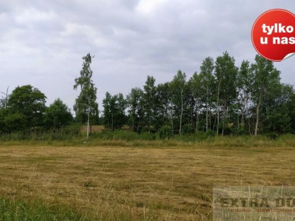 działka rolna na obrzeżach Niechorza