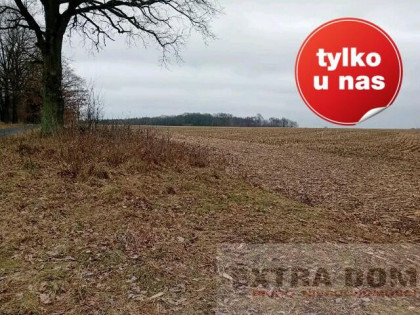 Działka Nowogard