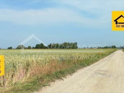 Działka budowlana Kiełczewice Górne gm. Strzyżewice, Kiełczewice