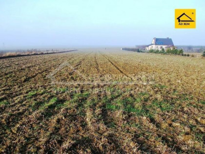 Działka budowlana Dziuchów gm. Niemce, Dziuchów