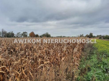 Działka siedliskowa Basin gm. Baranów