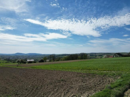 Działka budowlana Bobowa  gm. Bobowa Siedliska, Siedliska