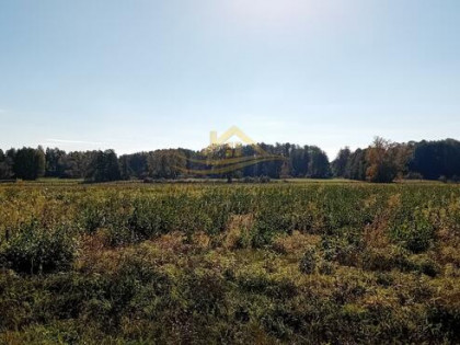 Działka budowlana Żelechów gm. Żabia Wola