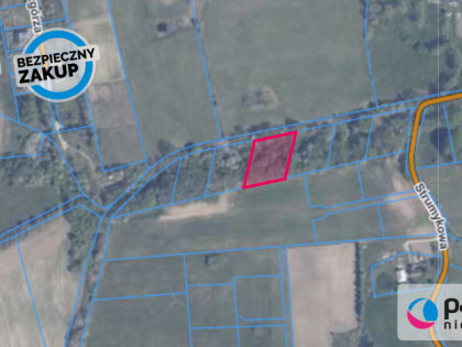 Działka Buszkowy ul.  