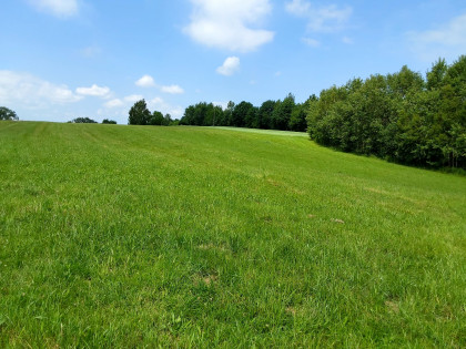 Działka Złota - spokój, natura i piękne widoki!