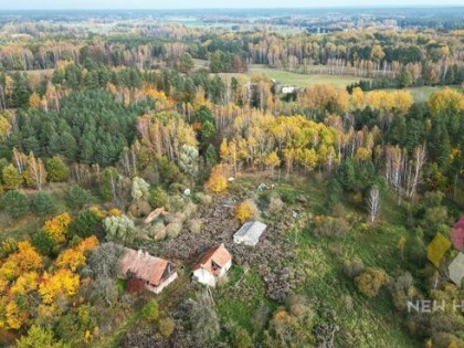 Gospodarstwo siedliskowe, 11 ha, Butryny, Warmia