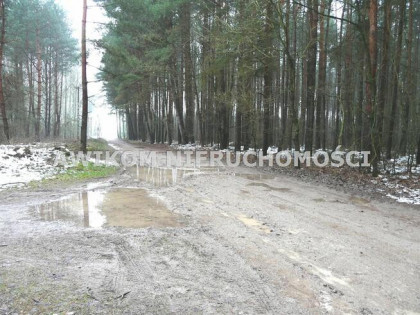 Działka siedliskowa Skierniewice Borowiny