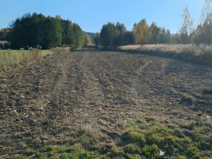 Działka blisko lasu w Łaskach, 5 km od centrum Jasła