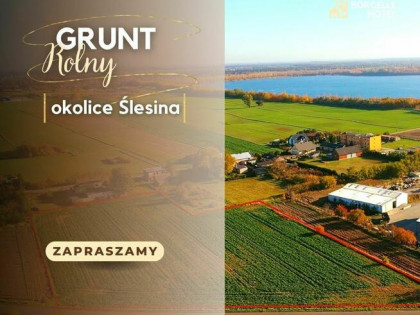 Grunt Rolny Okolice Ślesina