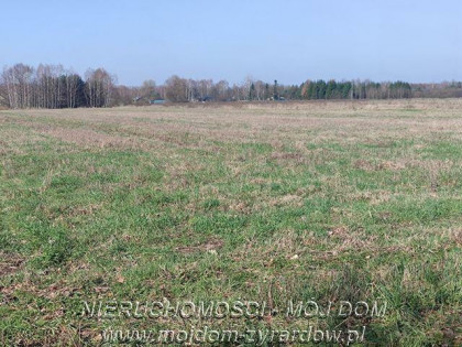 Działka rolno-budowlana Studzieniec gm. Puszcza Mariańska