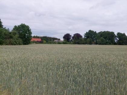 3km Nowogard działka pod budowę domu