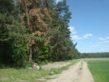 Syndyk sprzeda udział w działce