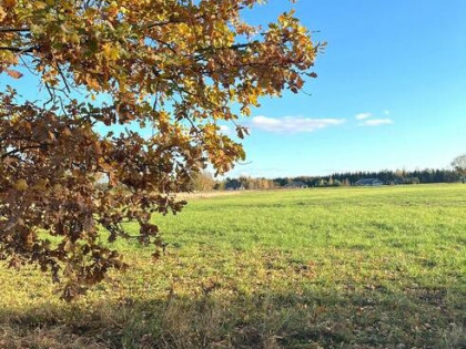 Działka z warunkami zabudowy Zamek Bierzgłowski