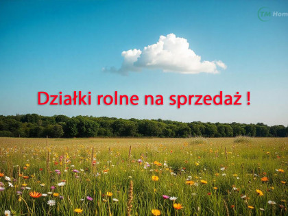 Działki rolne w Szczutkowie - 1,66 ha