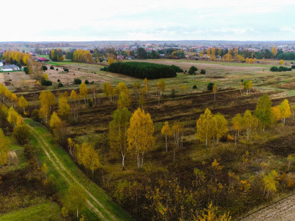 Działka z warunkami zabudowy - Sokołów Młp