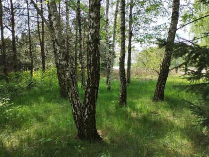 Działka budowlana w Anielinie Swędowskim, ul. Świerkowa 9, 1