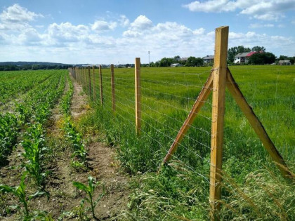 Działki na sprzedaż pod Chojnowem