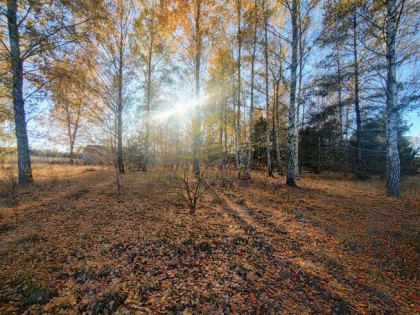 Działka budowlana Żelechów gm. Żabia Wola