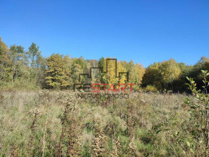 Działka rolna Adamów-Parcel gm. Radziejowice,