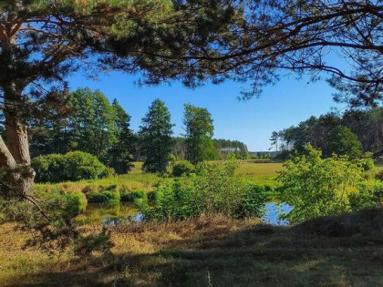 Działka z linią brzegową rzeki Narew (Szablak)