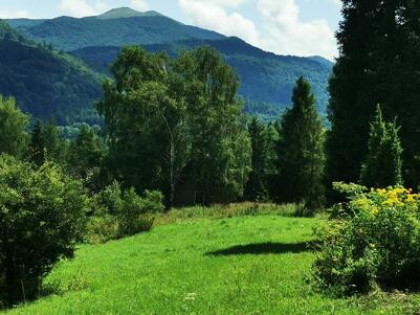 Wyjątkowa działka z widokiem na Smerek! Kalnica k/ Wetliny