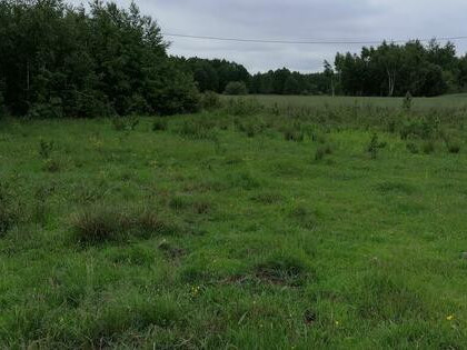 Sprzedam lub wydzierżawię działki rolne