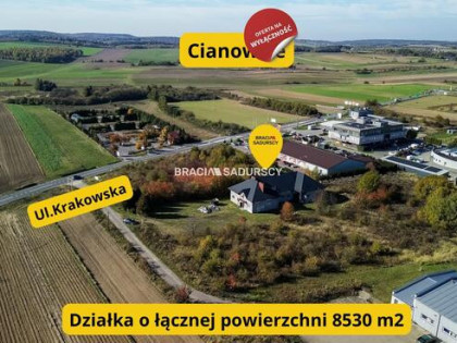 Lokal użytkowy Cianowice Duże gm. Skała, Krakowska